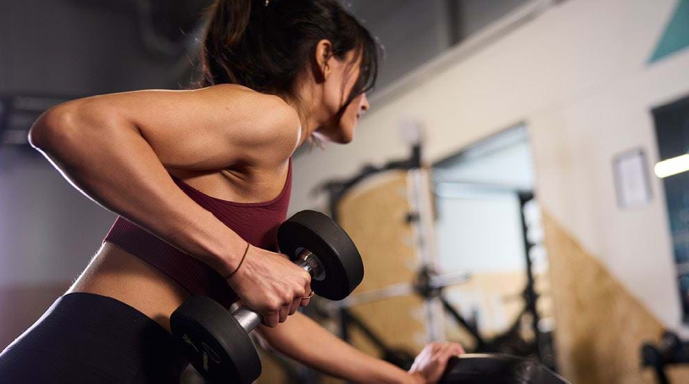 Hardgainer Workout Plan